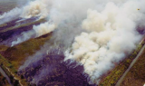 Kondisi Kakao Indonesia (1)